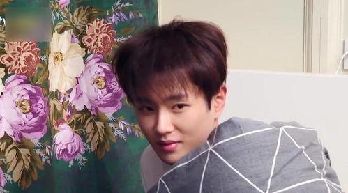 娱乐吃瓜姐范丞丞,娱乐吃瓜界的“姐范儿”新宠