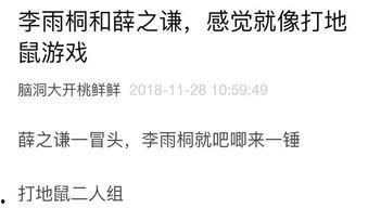 娱乐吃瓜笔记,吃瓜笔记背后的精彩故事